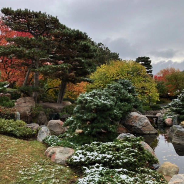 Japanese Garden, Como Park (Oct)